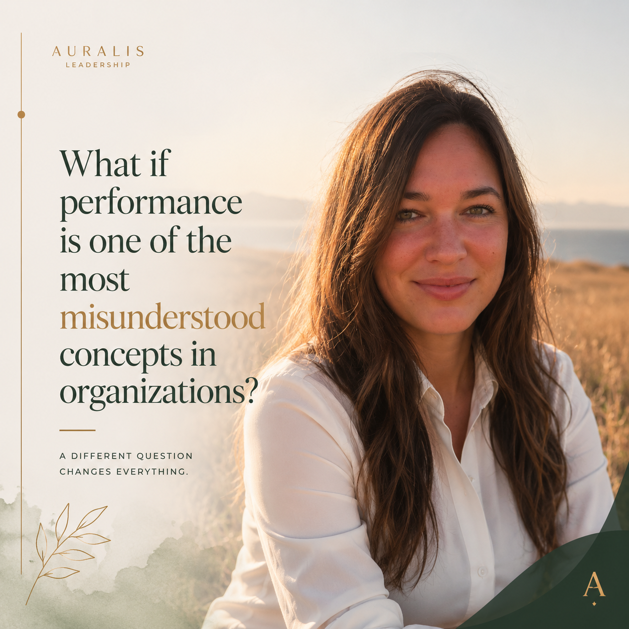 What if performance is one of the most misunderstood concepts in organizations?